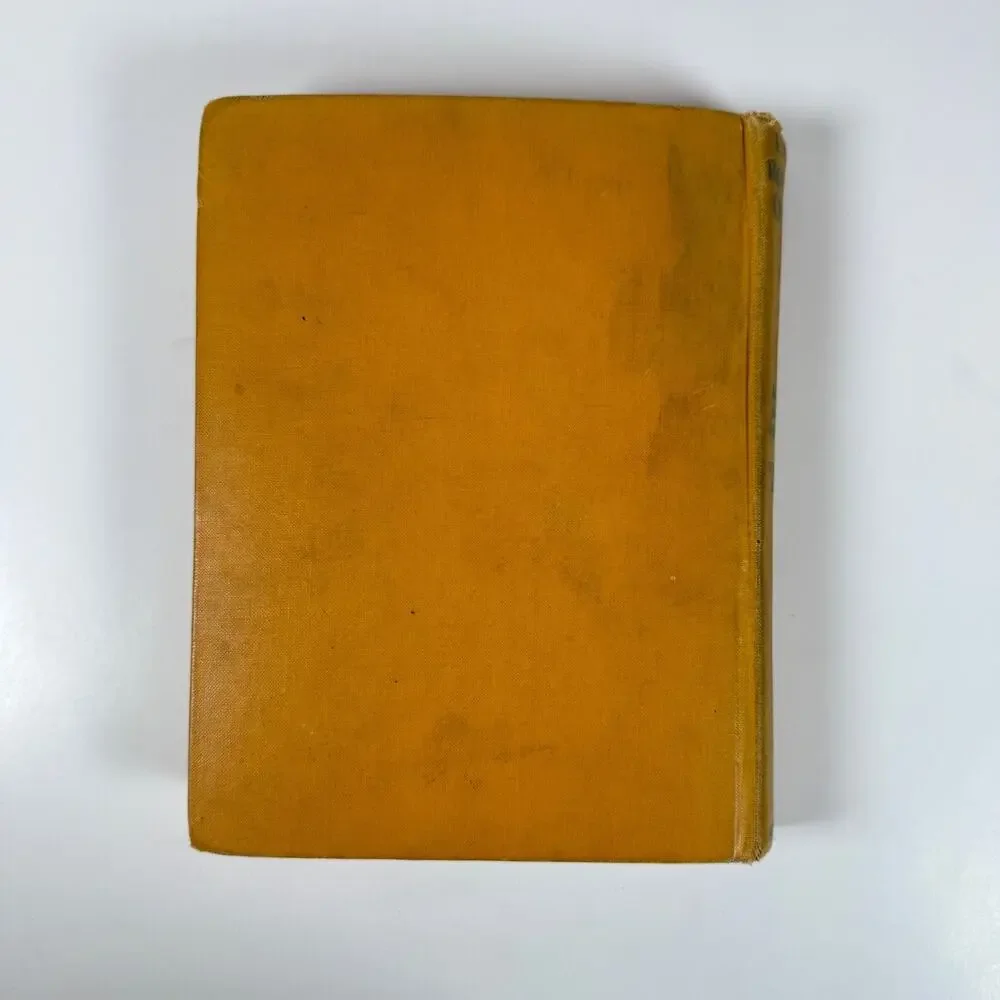 Little Robinson by Charles Donald Fox 1925 Antique book